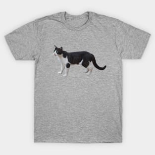 Alley Cat by Basement Mastermind T-Shirt